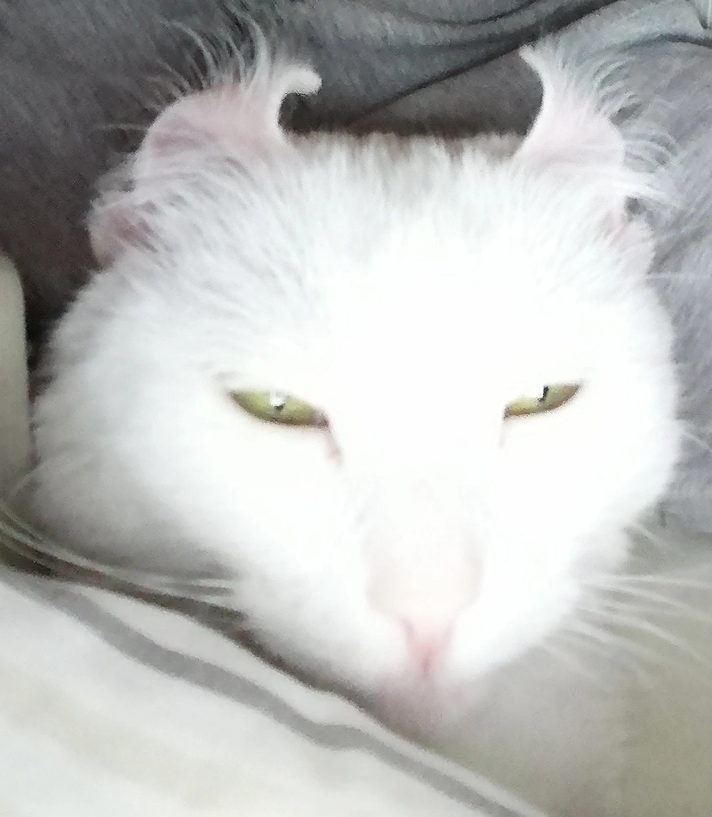 sa1ker