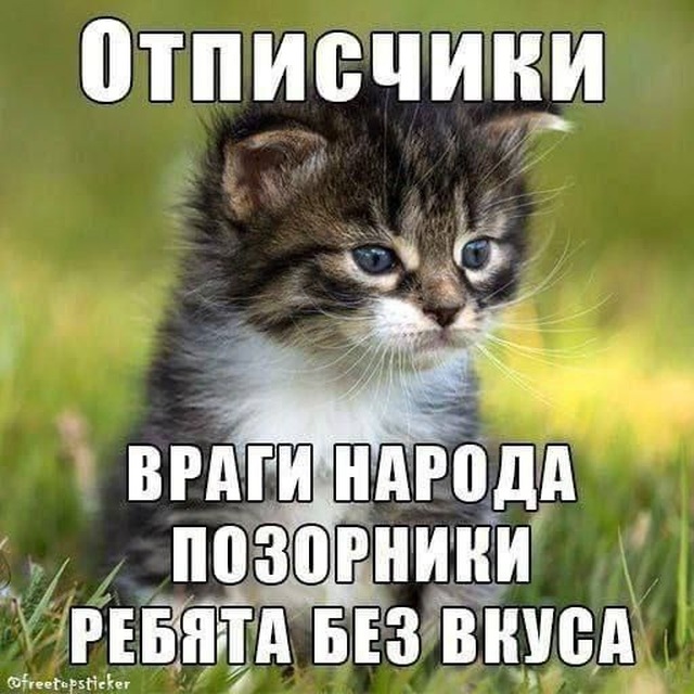 Zxwpq18