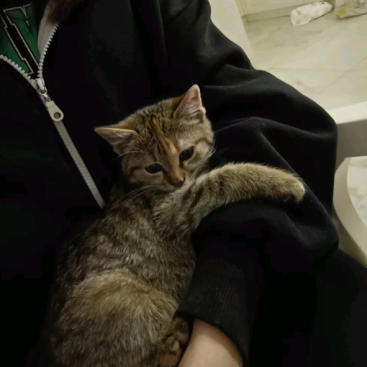 последний дубль